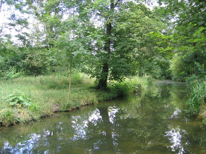 Ruisseau dans le Bois de Vincennes où je me désaltère